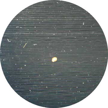 Record surface